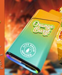 Gold Coast Clear Carts Orange Burzt